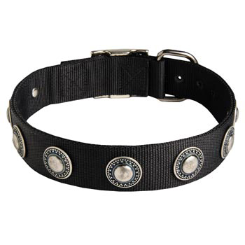 American Bulldog Dog Nylon Collar Awesome Design