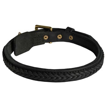 Braided Leather Collar for American Bulldog