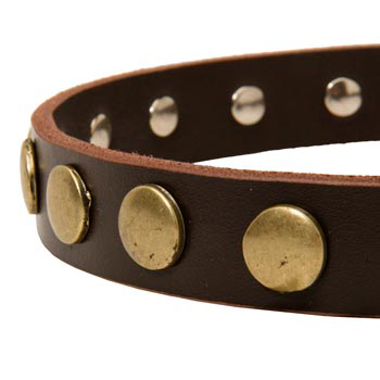 Designer Leather Dog Collar for Walking American Bulldog