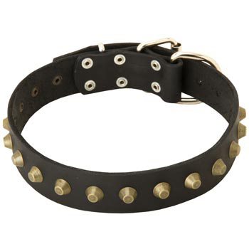 Leather American Bulldog Collar