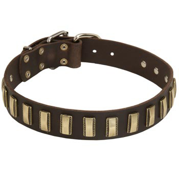 Leather American Bulldog Collar Designer for Walking in Style