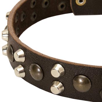 Leather American Bulldog Collar with Hand Set Studs