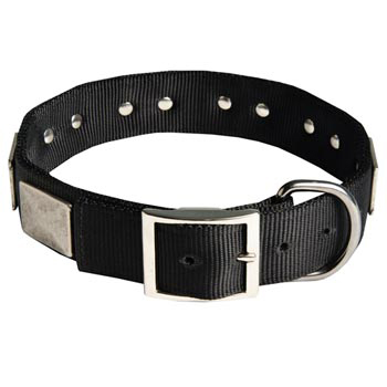 Designer Nylon Dog Collar Wide with Easy Release Buckle for   American Bulldog