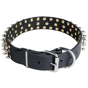Spiked Buckle Collar for American Bulldog