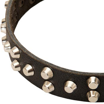 Leather American Bulldog Collar Durable Stud Decorated