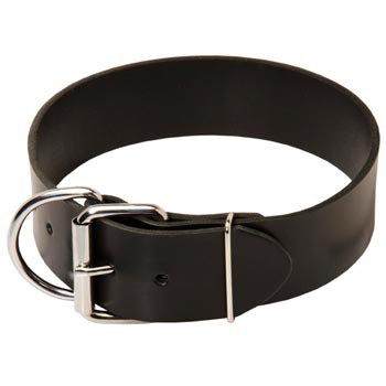 American Bulldog Leather Collar of Extra Width