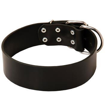 Leather American Bulldog Collar for Control During Walking