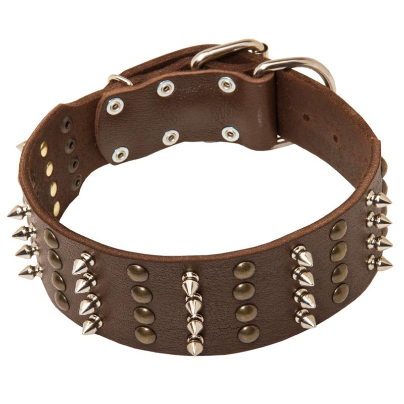 Extra Wide Leather Spiked and Studded American Bulldog
