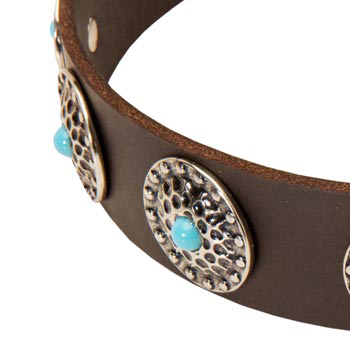 Blue-Stones Leather American Bulldog Collar