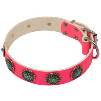 Safe Walking Leather   American Bulldog Сollar Pink Studded