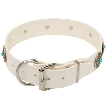 Leather   American Bulldog Collar White Fancy for Dog Training, Walking