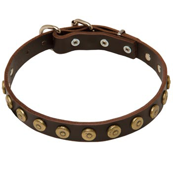 1 inch Wide Leather American Bulldog Collar