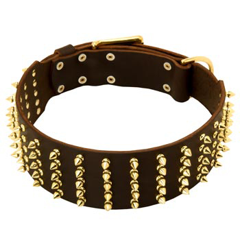 Fashionable Spiked Leather American Bulldog Collar