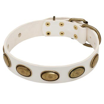 White Leather American Bulldog Collar with Vintage Oval Plates