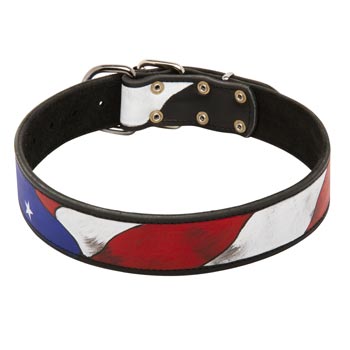 Training American Bulldog Leather Colored Handcrafted  