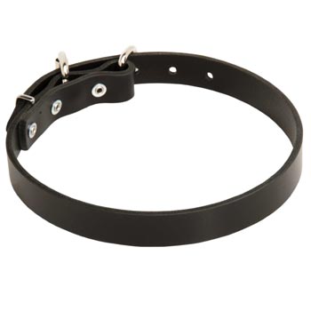 Leather Dog Collar for American Bulldog Training