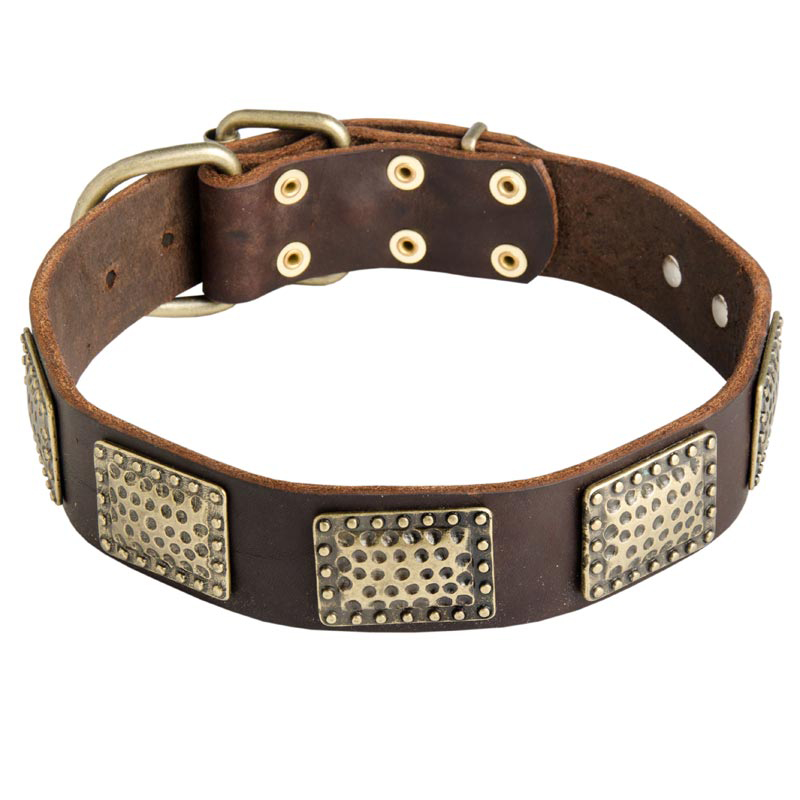 leather bulldog collar