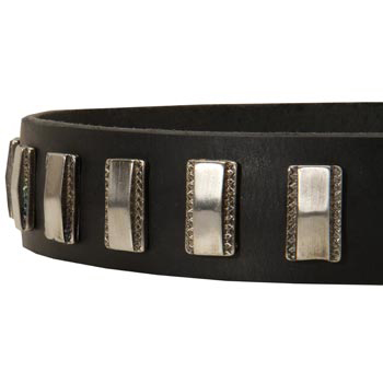 Stylish Leather Collar with Vintage Plates for American Bulldog