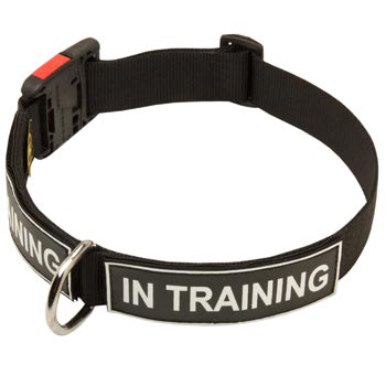 Nylon American Bulldog Collar With ID Patches