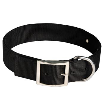 American Bulldog Training Collar with ID Tag