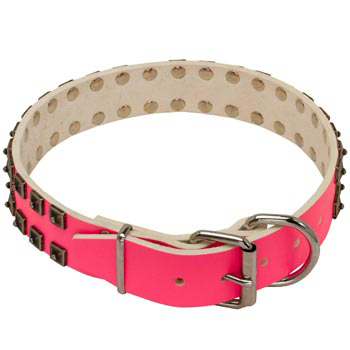 American Bulldog Pink Leather Collar for Walking She-Dogs