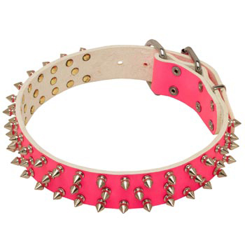 Pink Leather Collar for American Bulldog She-Dogs