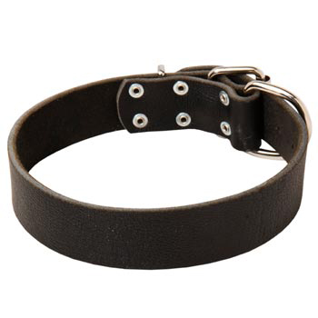 Unbelievable American Bulldog Strict Style Leather Dog  Collar