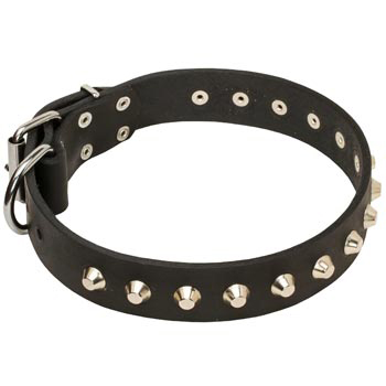 Soft Leather American Bulldog Collar with Nickel Studs