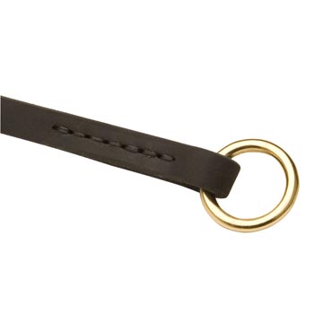  Leather Choke Collar for American Bulldog Training