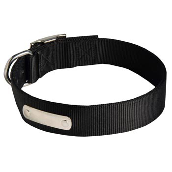 Nylon American Bulldog Collar with Identification Tag