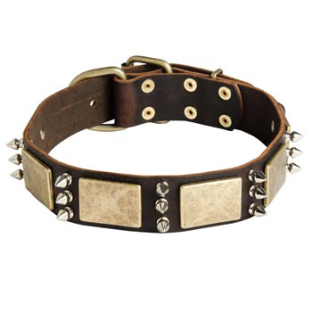 War-Style Leather Dog Collar for American Bulldog