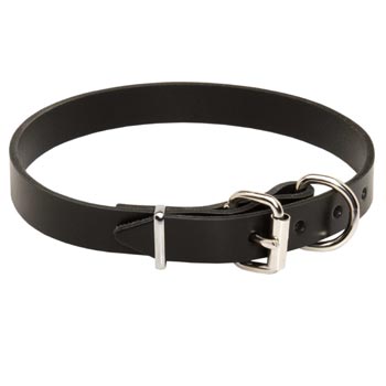 American Bulldog Leather Dog Collar For Everyday Training