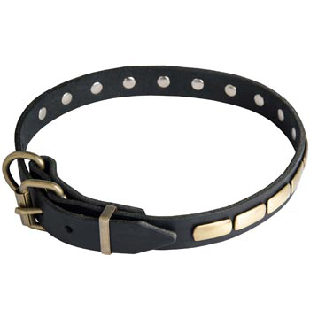 American Bulldog Leather Dog Collar with Brass Buckle 