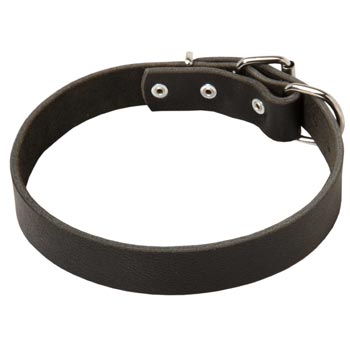 Leather Dog Collar Simple  Design for American Bulldog