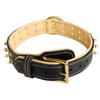 Leather Dog Collar Spiked Adjustable for American Bulldog Walking
