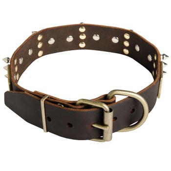 Spiked Leather American Bulldog Collar