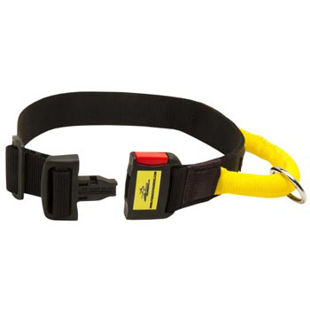 Nylon American Bulldog Collar with Quick Release Buckle
