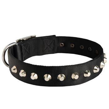 Walking Nylon   American Bulldog Collar Nickel Studded Waterproof