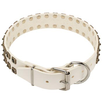White Leather Dog Buckle Collar for American Bulldog