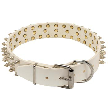 Spiked Leather American Bulldog Collar