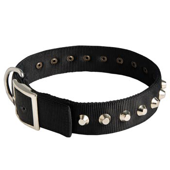 Nylon Buckle Dog Collar Wide with Studs for   American Bulldog