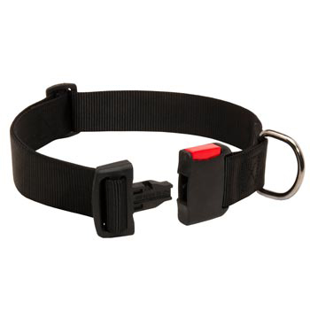 Reliable Nylon American Bulldog Collar