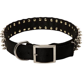 American Bulldog Wide Dog Nylon Collar Spiked