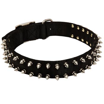 American Bulldog Dog Nylon Collar Steel Nickel Plated Spikes