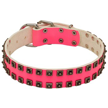 Studded Pink Leather Collar for American Bulldog She-Dogs