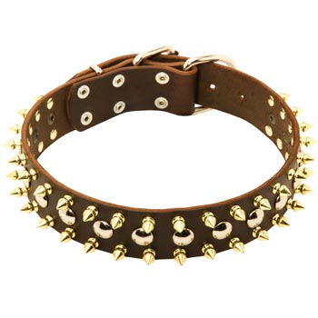 Leather Collar for American Bulldog with Solid Fittings
