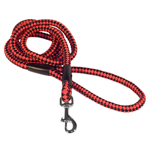 American Bulldog Nylon Leash Multifunctional
