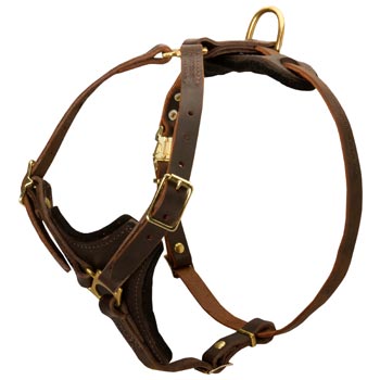 American Bulldog Harness Y-Shaped Brown Leather Easy Adjustable for Best Fit