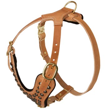Studded Tan Leather American Bulldog Harness