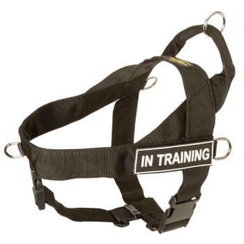 American Bulldog Nylon Harness with ID Patches